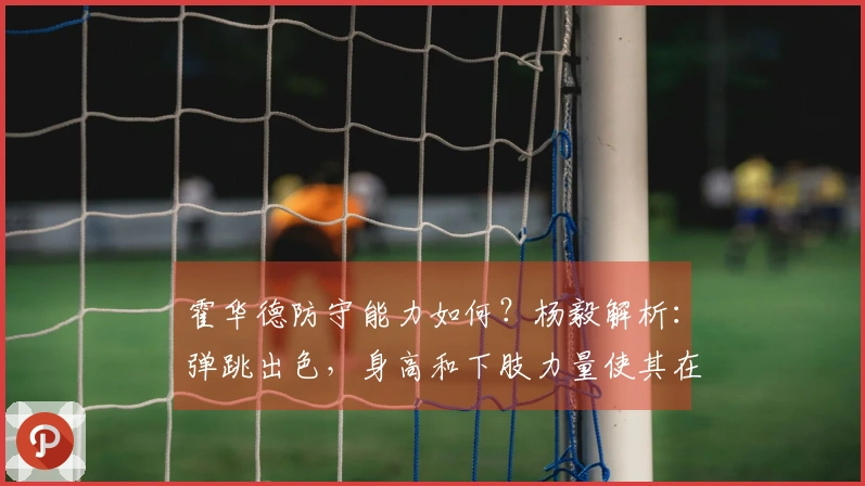 霍华德防守能力如何？杨毅解析：弹跳出色，身高和下肢力量使其在五号位上处于劣势