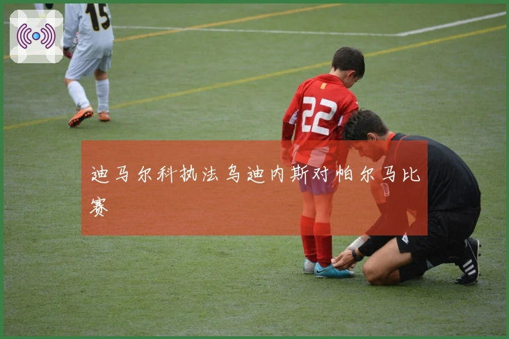 迪马尔科执法乌迪内斯对帕尔马比赛