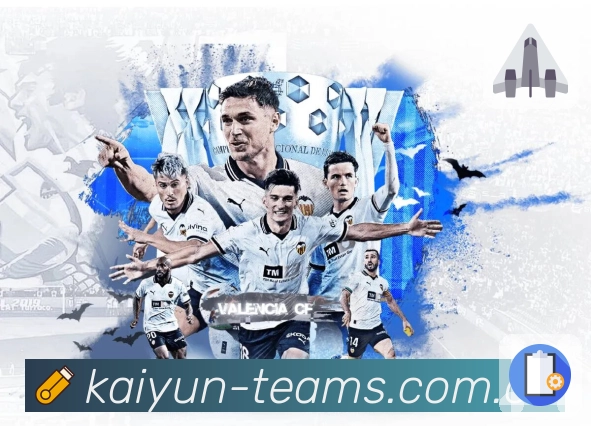 开云平台展示图